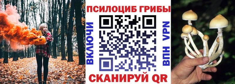 Псилоцибиновые грибы ЛСД  дарк нет как зайти  Карасук 