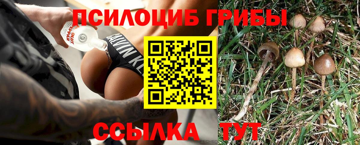 Галлюциногенные грибы мицелий Карасук