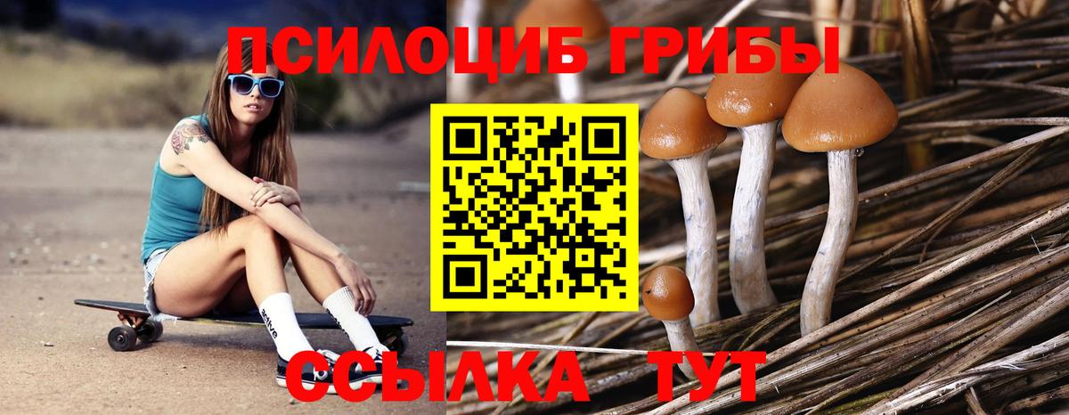 Галлюциногенные грибы Cubensis  Вход с VPN  Карасук  Псилоцибиновые грибы ЛСД 