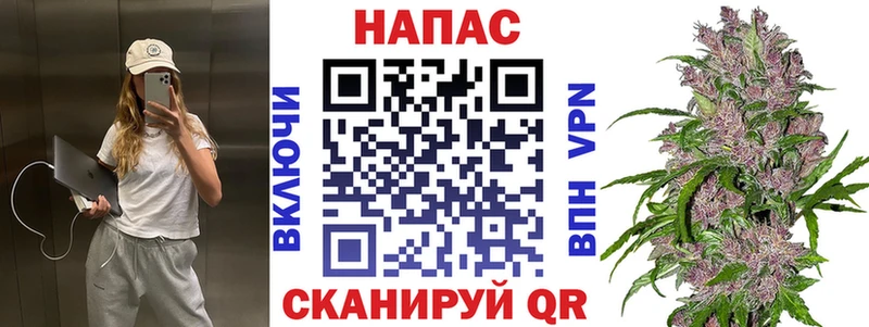 Канабис тримм  мориарти клад  Карасук 