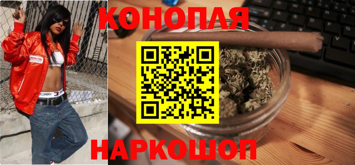 Бошки Шишки план Карасук